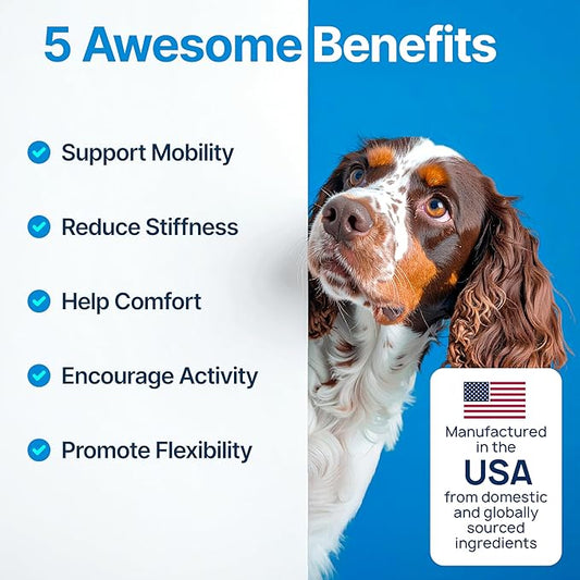 Hip and Joint Supplement for Dogs – Glucosamine for Dogs, Dog Joint Supplement, Mobility, Flexibility & Comfort, Chews with Glucosamine Chondroitin Msm & Omega3, 1 Pack,170 Chews,Made in USA