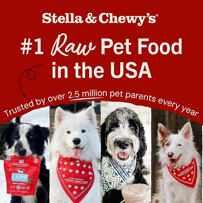 Stella & Chewy's Freeze-Dried Raw Tantalizing Turkey Meal Mixers- Dog Food Topper and Mixer - Made with 95% Cage-Free Turkey, Organs & Bone - Perfect for Picky Eaters - Grain-Free - 18 oz