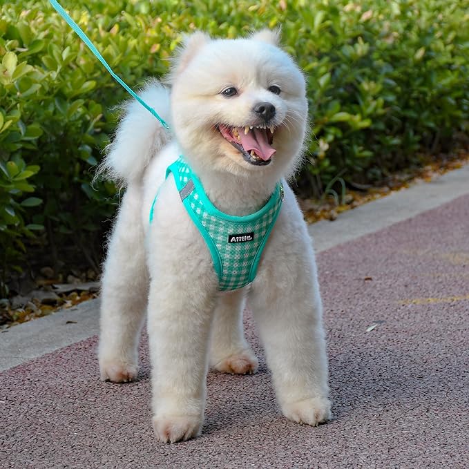 AIITLE No Pull Dog Harness and Leash Set, Step in No Chock Soft Mesh Dog Harnesses Reflective for Extra-Small Puppy Dogs and Cats, Plaid Dog Vest Harness for Pets Turquoise XXS