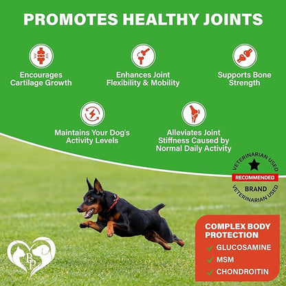 Dog Hip and Joint Supplement & Arthritis Pain Relief Treats - Glucosamine Chondroitin MSM Soft Chews for Senior Dogs - Natural Medicine & Support Mobility - Turmeric Vitamins for Dysplasia - USA