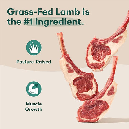 Jinx Premium Grain-Free Dry Dog Food, for All Lifestages - Grass-Fed Lamb, Sweet Potato & Carrot Dog Food with Superfoods for Immune Support & Probiotics for Digestive Support - No Fillers - 23.5lb