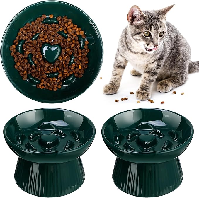 Tioncy 2 Pcs Raised Cat Slow Feeder Bowl Ceramic Elevated Cat Dog Food Bowl No Spill High Edge for Dry Wet Food and Water Easy to Clean, Dishwasher Safe(Dark Green)