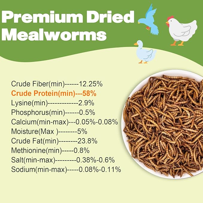 LIWII Dried Mealworms - 5 LBS - 100% Natural Non-GMO High Protein - Bulk Mealworms for Wild Birds, Chickens, Pet Treats & Reptile Food