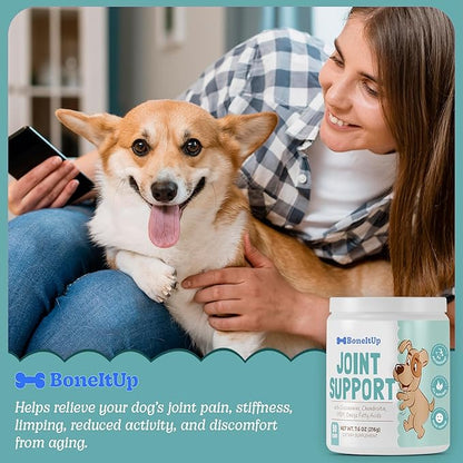 BoneItUp Soft Dog Joint Support Supplement Chews for Aging, Large & Overweight Pets - Glucosamine, Chondroitin, MSM & Omega - Advanced Hip & Joint Supplement for Dogs - Pet Bone Support Treats (90 Ct)