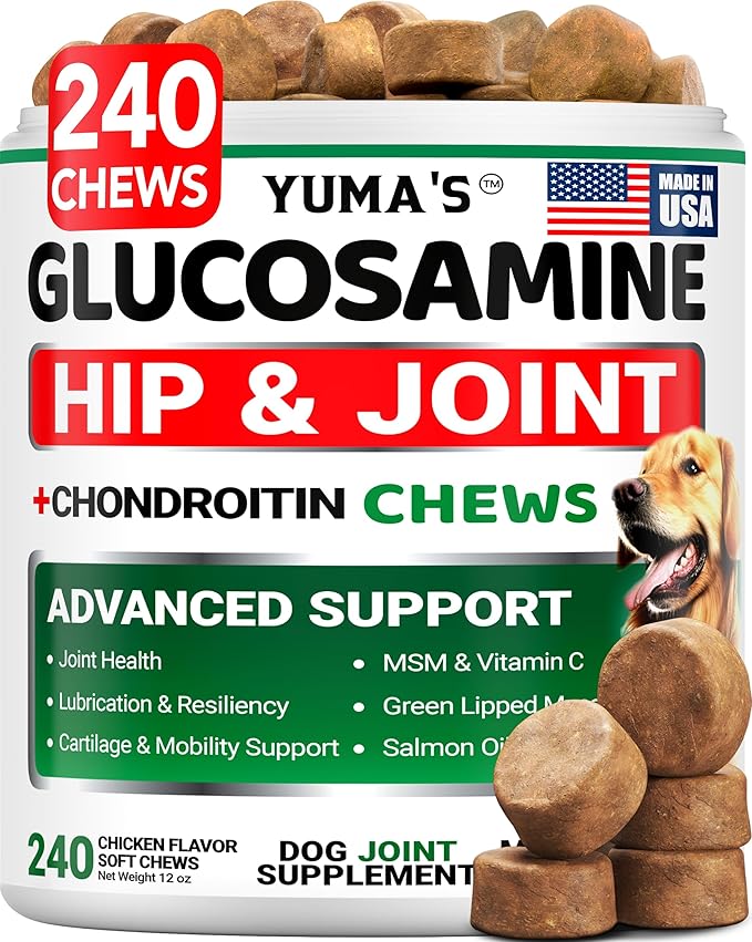 Glucosamine for Dogs - 240 Chews - Hip and Joint Supplement for Dogs - Advanced Glucosamine Chondroitin Treats with MSM - Joint Pain Relief - Large & Small Breed - Mobility Support - Made in USA