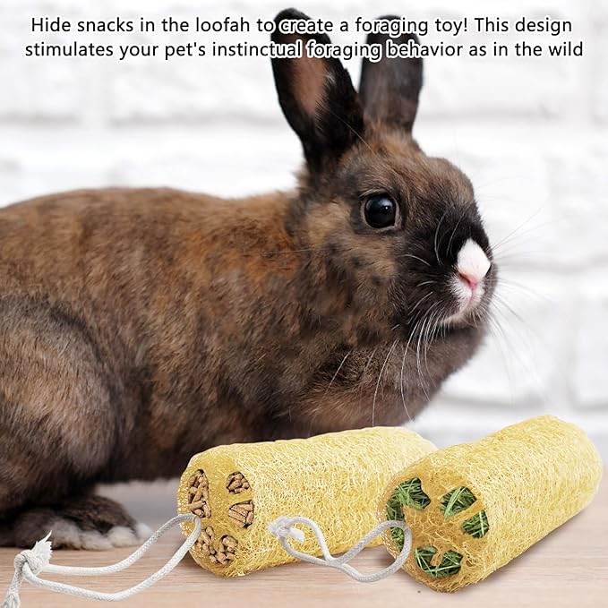 Apatal 12 Pcs Rabbit Chew Toys Natural Bunny Loofah Chew Toy Chinchilla Teeth Grinding Toys Guinea Pig Fibre-Rich Treats Enrichment Bunny Accessories for Rabbits Hamster (S)