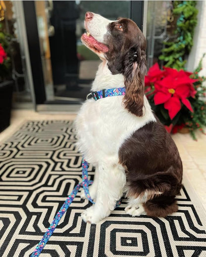 Lucky Love Dog - Adjustable Collar and Leash Set with Easy Click Buckle for Small to Large Dogs, Durable, & Comfortable Collar for Male & Female Dogs, Puppies & Adult - Sweet Holiday Combo, XS