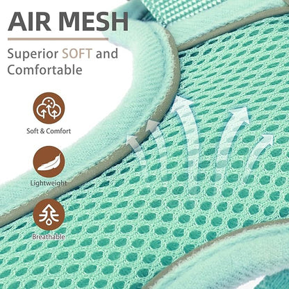 PUPTECK Small Dog Harness and Leash Set, No Pull Adjustable Puppy Cat Harness, Reflective Soft Mesh Pet Vest Small Sized