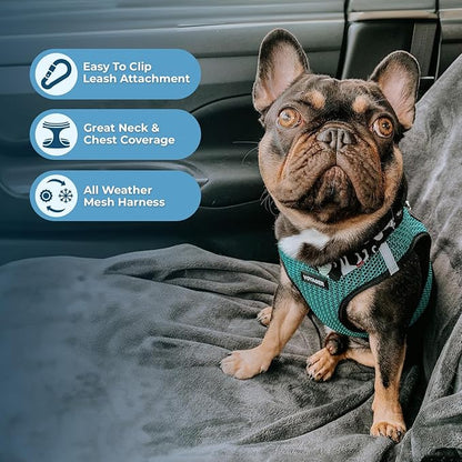 Voyager Step-in Air All Weather Mesh Harness and Reflective Dog 5 ft Leash Combo with Neoprene Handle, for Small, Medium and Large Breed Puppies by Best Pet Supplies - Turquoise (2-Tone),S