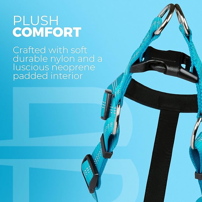 BLAZIN Reflective Dog Harness - 'Color Me Happy!' Adjustable Step-in Reflective Nylon Vest Harness - Neoprene Padded for Extra Comfort (Large, Blue)