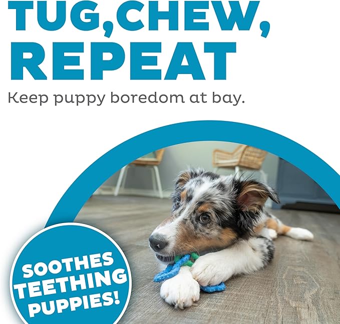 Outward Hound Bone Tugz Tug-of-War Dog Chew Toy, Blue