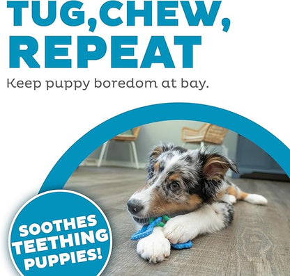 Outward Hound Bone Tugz Tug-of-War Dog Chew Toy, Blue