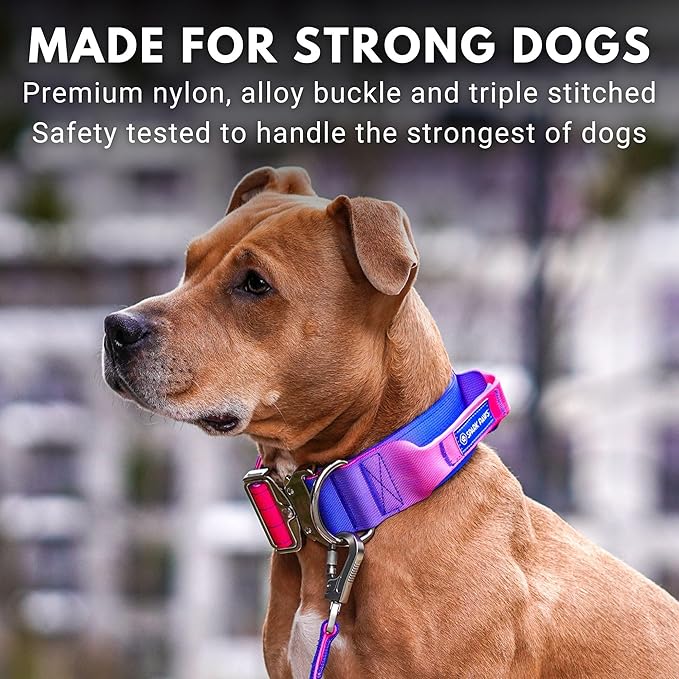 Spark Paws Tactical Dog Collar with Handle - Premium Quality Collar, Robust and Durable Design for Large, Strong Breeds - Pitbulls, Labradors, GSD - Snow Cone - S - 1.5"