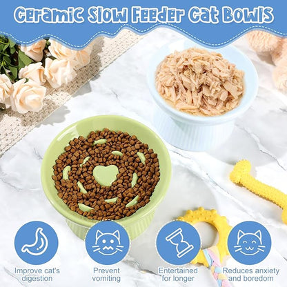 Tioncy 2 Pcs Raised Cat Slow Feeder Bowl Ceramic Elevated Cat Dog Food Bowl No Spill High Edge for Dry Wet Food and Water Easy to Clean, Dishwasher Safe(Green, Blue)