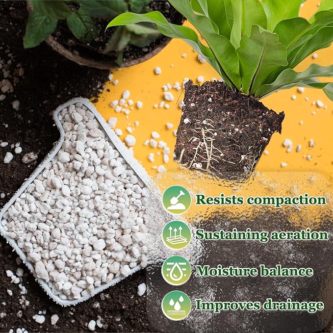 Organic Horticultural Perlite,Natural Perlite Improved Drainage, Ventilation & Root Growth,Perlite Conditioner Potting Mix for Orchids,Succulents,Indoor & Outdoor Plant and Gardening-1QT