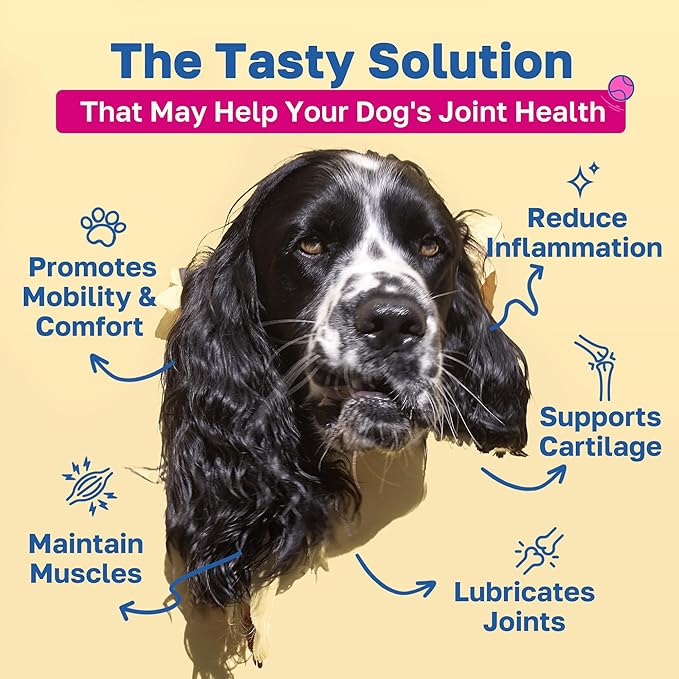 Happy Paws Hip & Joint Supplement for Dogs, Glucosamine Chondroitin For Dogs Of All Breeds, Mobility Support Chews With Hyaluronic Acid & Turmeric, Vegan Bacon Flavor, Organic, Non GMO, 100 Soft Chews