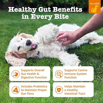 Zesty Paws Probiotics for Dogs, Digestive Enzymes Gut Flora, Digestive Health, Diarrhea & Bowel Support, DE111, Dog Probiotics Soft Chew for Pet Immune System, Chicken, 50 Ct