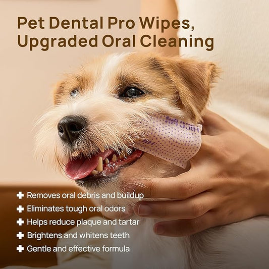 HICC PET Pro Teeth Cleaning Wipes for Dogs & Cats, Vet-Recommended Dental Care Finger Wipes, Reduce Plaque Tartar & Fresh Breath, No-Rinse Toothbrush, Gentle Clean Dog Tooth Brushing Kit, Mint