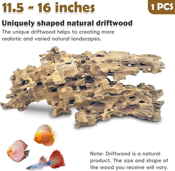 PINVNBY Natural Large Driftwood for Aquarium Reptile Terrarium Decor Decorations Assorted Branches Bearded Dragon Tank Accessories (11.5-16 inches/1 Pack)