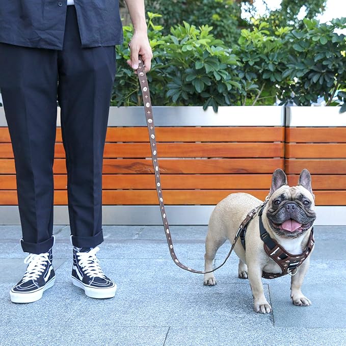 iChoue French Bulldog Vest Harness and Leash Set Adjustable No Pull Soft Padded with Locked Buckle for Frenchie Pug English Boston Terrier Dogs, Coffee Bean, Small