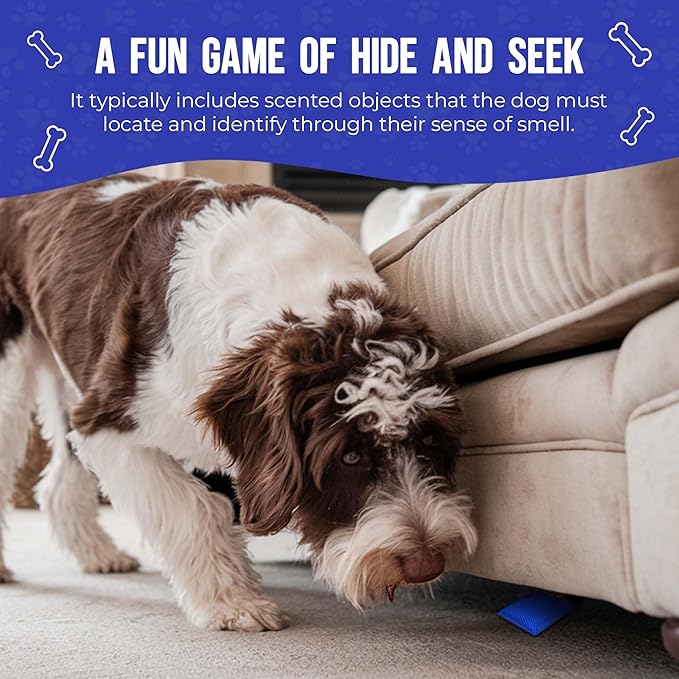Interactive Dog Scent Training Kit Fun - Nose Work for Dogs, Hide and Seek Dog Toys, Enhance Dog Brain Games, Nose Scent work Games for All Ages Dog, Dog Scent Training Box, Scent Work Kit for Dogs
