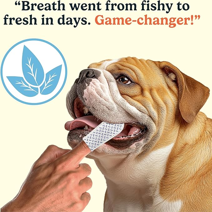 Jasper Dog Dental Wipes, Vet-Recommended All-Natural Finger Toothbrush Wipes for Dogs, Fresh Breath & Tartar Control in Seconds – No Brush and Toothpaste Needed, Unscented, 60 Count