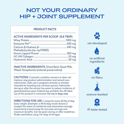 Native Pet Advanced Care - Hip & Joint Supplement for Dogs - Supports Joints, Cartilage, Muscles & Anti-Inflammatory with HMB, UC-II Collagen, Green Lipped Mussel & Hyaluronic Acid - 60 Scoops
