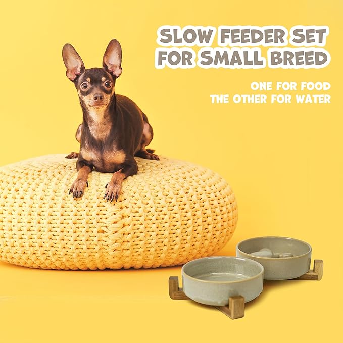 Ceramic Slow Feeder Dog Bowl Set with Stand, Cute Paw Slow Feeding Food Bowl and Water Bowl for Small Breed, 5.2" Ceramic Non Slip Dog Dishes, Grey