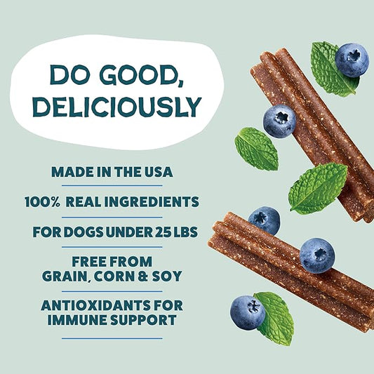 Shameless Pets Toothberry Dental Mini Chews for Dogs – Natural Dog Dental Sticks for Fresh Breath, Teeth Cleaning & Removes Tartar, Grain-Free Dog Treats, No Corn or Soy