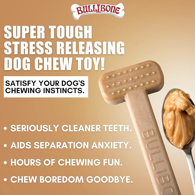 Bullibone Nylon Dog Chew Toy Nylon Bone - Improves Dental Hygiene, Easy to Grip Bottom, and Permeated with Flavor (Peanut Butter, Small - Single)