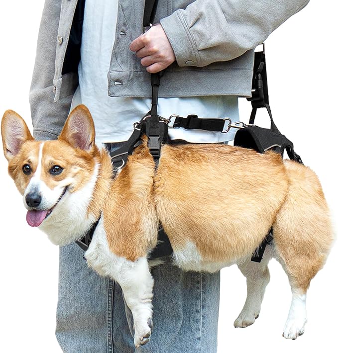 Dog Lift Harness, Dog Lift Sling Carrier with Handle & Shoulder Sling, Support Harness for Rear Back Legs Helps,Disabled,Arthritis,Joint Injuries,Paralysis Up Stairs（Black,Medium）