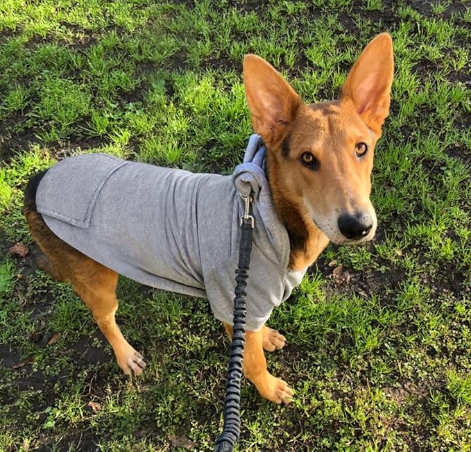 Idepet Pet Dog Hoodies Dog Clothes for Small Dogs Vest Chihuahua Clothes Warm Coat Jacket Autumn Puppy Outfits Cats Dogs Clothing(XL,Dark Grey)