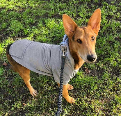 Idepet Pet Dog Hoodies Dog Clothes for Small Dogs Vest Chihuahua Clothes Warm Coat Jacket Autumn Puppy Outfits Cats Dogs Clothing(XL,Dark Grey)