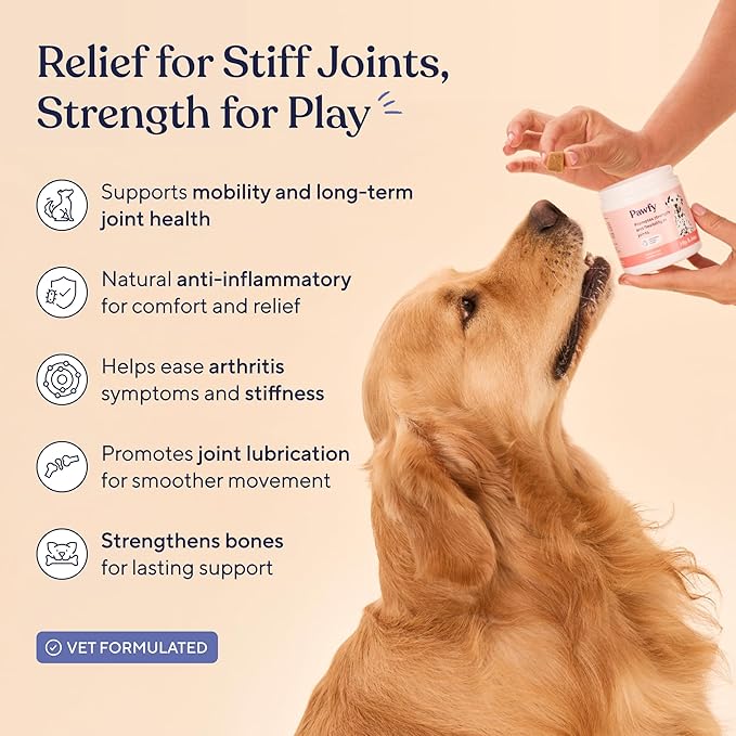 Pawfy Hip & Joint Supplement for Dogs with MSM & Vitamins | Glucosamine Chondroitin for Small, Medium & Large Breed - Supports Mobility & Bones | Glucosamine for Dogs with Omega 3-30 Chews