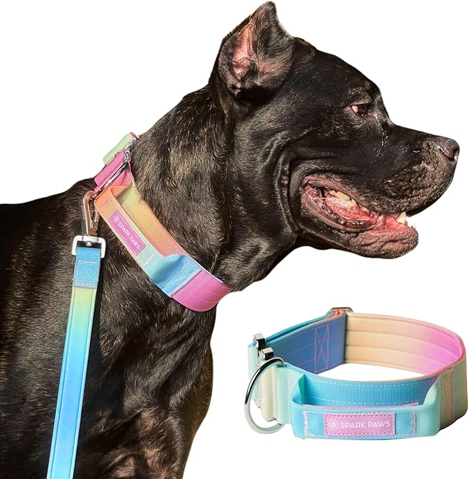 Tactical Dog Collar with Handle - Premium Quality Collar, Robust and Durable Design for Large, Strong Breeds - Pitbulls, Labradors, GSD - Pastel Icing - L - 1.5"