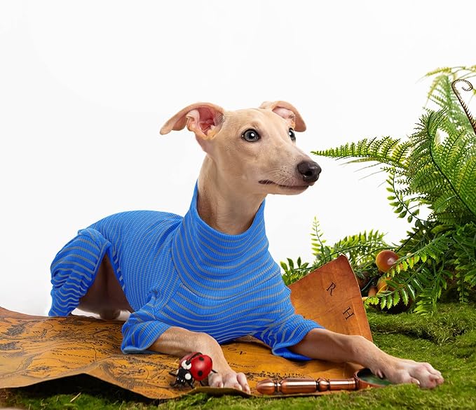 Dog Sweaters for Small Dogs Girls Boys, Striped Pet Sweaters for Fall Winter Dog Clothes, Turtleneck Pullover Knitwear for Small Medium Large Dogs