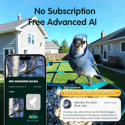 Humbirdy-Bird Feeder with Camera, 8MP Ultra HD Video & Photo, 10x Slow-Motion, 4K 30fps Live View, No Subscription, AI Identify, 2.4G/5G Wi-Fi, Solar Powered, Dural Metal, Unique Bird Watching Gifts