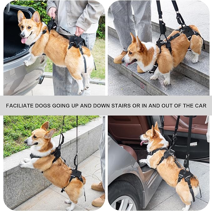 Dog Lift Harness, Dog Lift Sling Carrier with Handle & Shoulder Sling, Support Harness for Rear Back Legs Helps,Disabled,Arthritis,Joint Injuries,Paralysis Up Stairs（Black,Medium）