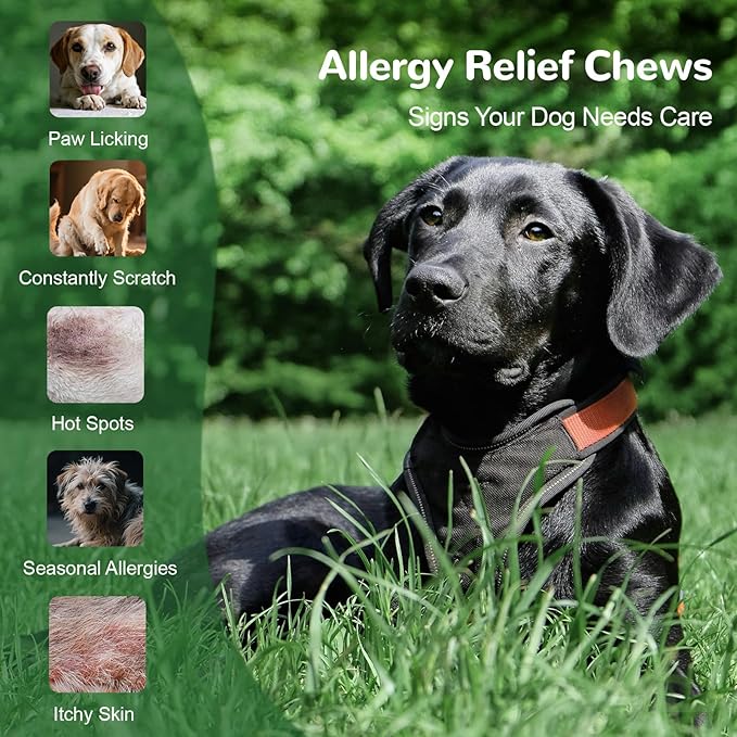 Dog Allergy Relief Chews, Dog Itch Relief Chews for Large Dogs Paw Licking Itchy Skin Seasonal Allergies, Probiotics with Astragalus Omega-3 for Coat Immune Supplement-150ct