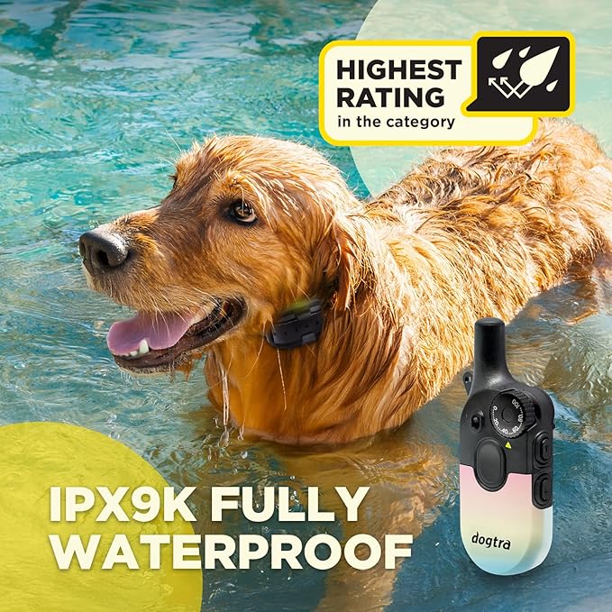 Dogtra 200iQ Remote Training E Collar – 100 Levels, Tone, Vibration, 1/2 Mile Range – Compact, Waterproof, One-Handed Control for Dogs 10 lbs+ – Lightweight Design for Daily Training – Sunset