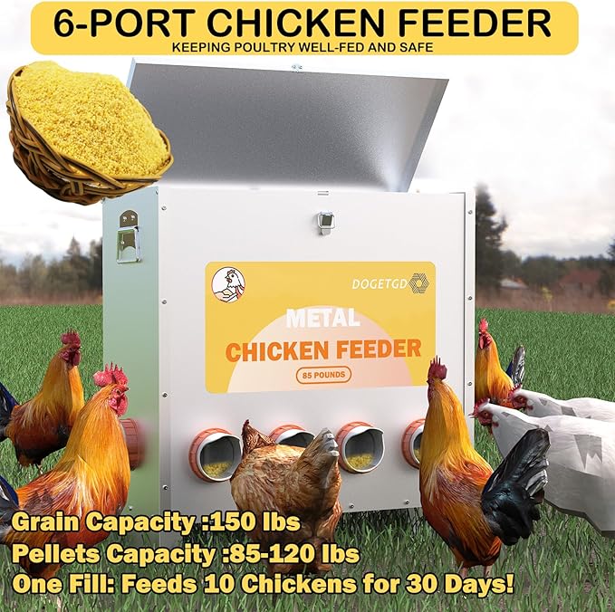 Automatic Chicken Feeder No Waste Metal Poultry Feeder Large Capacity 85 lbs for Chickens, Geese, Ducks, Turkeys, Quails (6-Port)