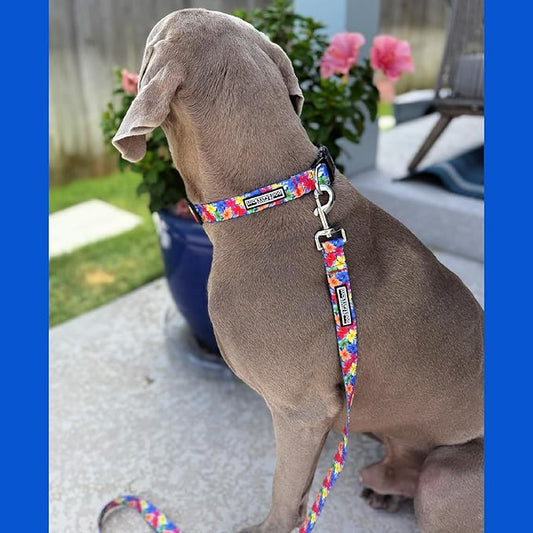 Lucky Love Dog - Easy Click Buckle Dog Collar with Leash Set Combo, Durable & Comfortable for Male & Female Dogs, Pet Collar for Small to Large Dogs, Secure Fit - Hana Combo, XS