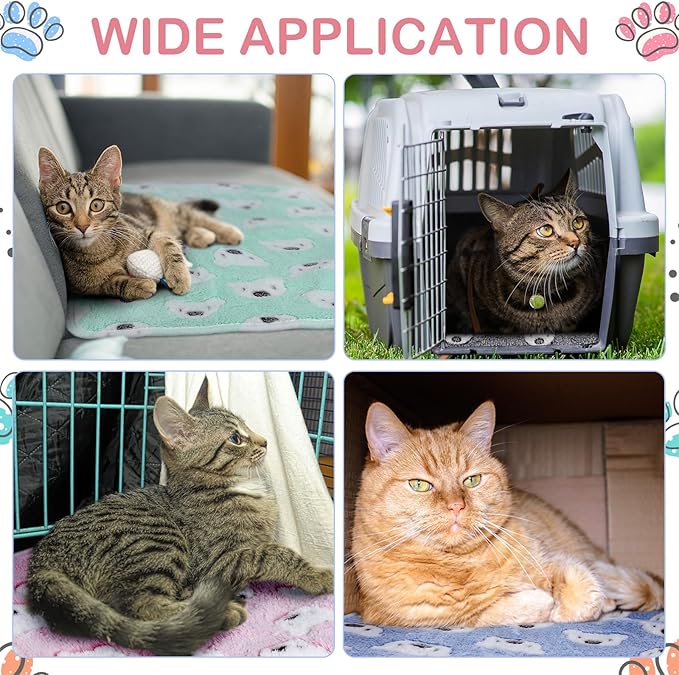 Reginary 4 Pcs Waterproof Guinea Pig Blankets Washable Small Animal Fleece Bedding Guinea Pig Cage Liners Reusable Training Pads Pet Pee Pad Sleep Mat for Hamster(Bear Pattern,24 x 16 Inch)