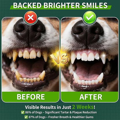 Dog Dental Powder, Dog Teeth Cleaning Powder with Natural Herbal Blend, Plaque Off Pet Tooth Cleaning lab co, Targets Tartar & Reduces Plaque & Bad Breath for Dogs & Cats, Mint -150Grams