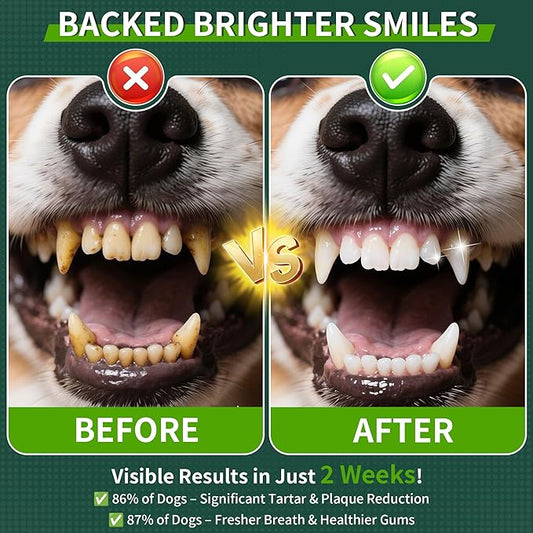 Dog Dental Powder, Dog Teeth Cleaning Powder with Natural Herbal Blend, Plaque Off Pet Tooth Cleaning lab co, Targets Tartar & Reduces Plaque & Bad Breath for Dogs & Cats, Mint -150Grams