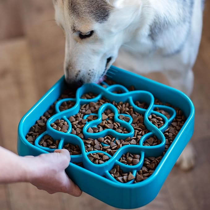 Messy Mutts and Cats Interactive Square Slow Feeder | Blue (2 Cup) | 8” x 8” Square Puzzle Slow Feeder for Dogs/Cats | Enrichment Food Dish for Slow Eating, Bloating