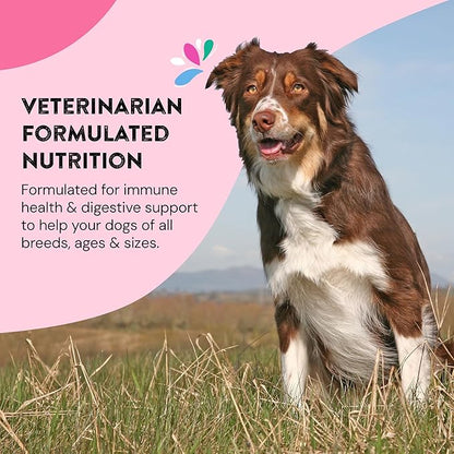 Hip & Joint Supplements for Dogs | Probiotic & Prebiotic Benefits with Wild Salmon Omega 3s to Help Your Dog Reach New Heights | All Breeds and Sizes | 120 Count