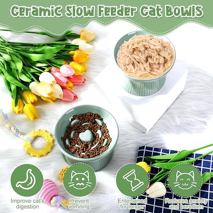 Tioncy 2 Pcs Raised Cat Slow Feeder Bowl Ceramic Elevated Cat Dog Food Bowl No Spill High Edge for Dry Wet Food and Water Easy to Clean, Dishwasher Safe(Sage Green)