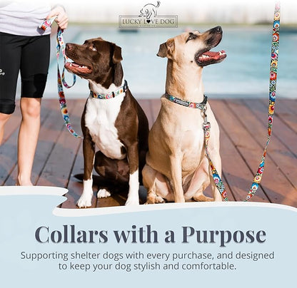 Lucky Love Dog - Easy Click Buckle Dog Collar with Leash Set Combo, Durable & Comfortable for Male & Female Dogs, Pet Collar for Small to Large Dogs, Secure Fit - Blackbird Combo, Medium