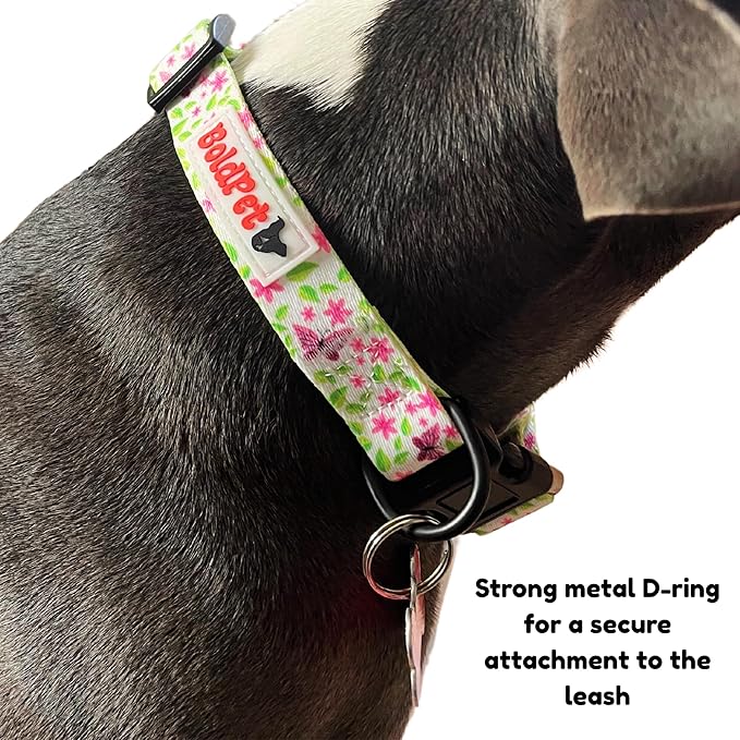 Dog Collar and Leash Set - Durable Polyester Material -Adjustable -Safe Metal Buckle-Cute Summer Dog Leash and Collar Set for Small, Medium and Large Dogs